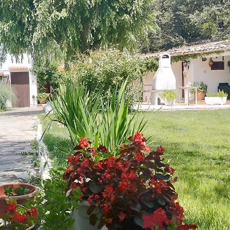 Casa Rural En Naval, Torre San Rafael 外观 照片